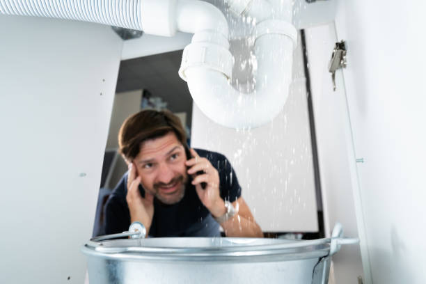 Best Plumbing Services Near Me  in Hometown, PA